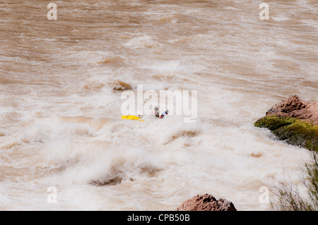 Whitewater Rafting par Lava falls (classe 9 +) sur le fleuve Colorado à Grand Canyon National Park Arizona Banque D'Images