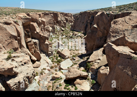 Haut Gorge Socaire Région d'Antofagasta Chili Altiplano Banque D'Images