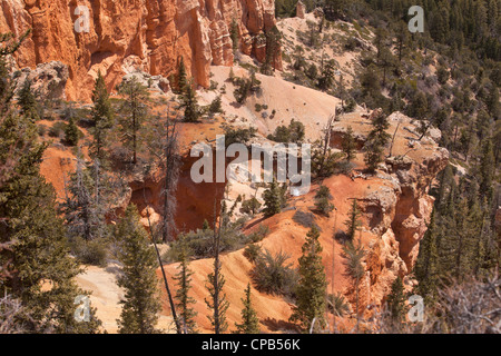 Bryce Canyon National Park, Utah. Les formations de grès dans le désert. Raviver la photo. Banque D'Images