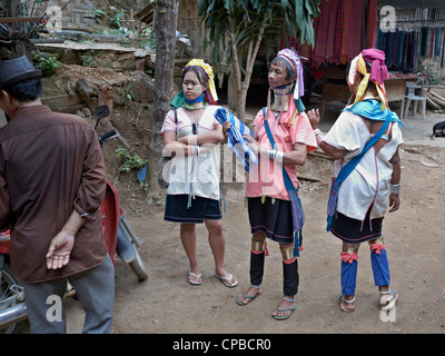 Long cou (Kayan) les gens des tribus des collines du nord de la Thaïlande S. E. rural en Asie. Les tribus des collines Banque D'Images