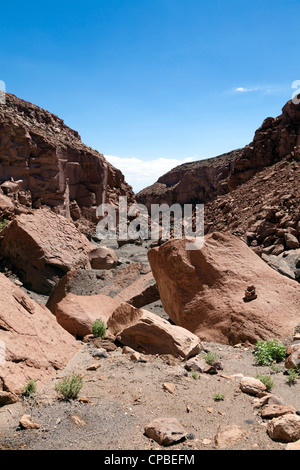 Quezala à distance le ravin, près de Talabra, Désert d'Atacama, Chili Banque D'Images