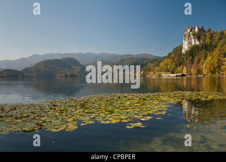 Château au lac de Bled, Slovénie Banque D'Images