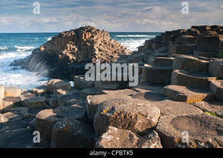 La Chaussée des Géants, le comté d'Antrim, Irlande du Nord, Royaume-Uni Banque D'Images