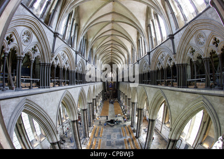 La cathédrale de Salisbury nef prises à partir de l'ouest Banque D'Images