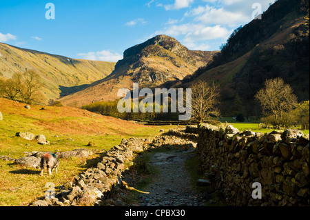 Stonethwaite une succursale de la vallée de Borrowdale Lake District à vers Eagle Crag Banque D'Images