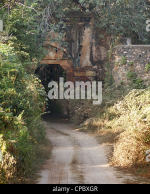 Au paysage du parc national de Ranthambore au Rajasthan, Inde Banque D'Images