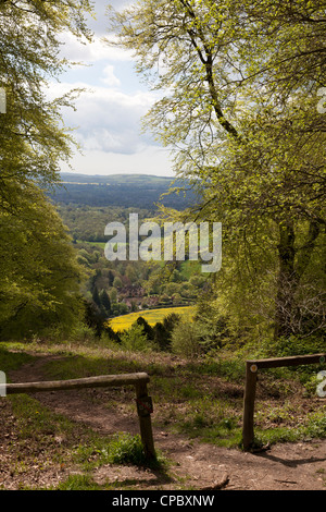 Clôture à pôle haut de vue pittoresque sur les cintres de Ashford Banque D'Images