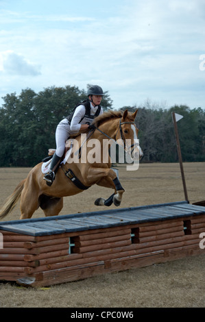 Ashley Leith rides Miss Money Penny sur une cabane sur le cross country dans le novice. Banque D'Images