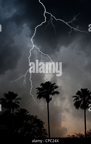 Éclair ciel nocturne plus de jungle tropicale Banque D'Images