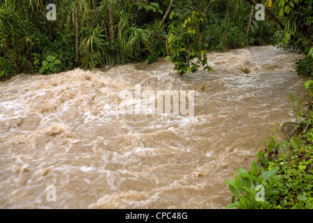 Rio Mindo, l'Équateur pour les inondations après de fortes pluies exceptionnellement dans les Andes. Banque D'Images