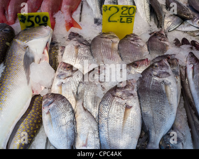 Le marché aux poissons, le quartier chinois, NYC Banque D'Images