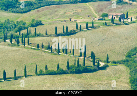 La Foce toscane une icône un zigzag route bordée de cyprès près de Pienza Toscane Italie Europe de l'UE Banque D'Images