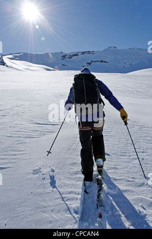 Un skieur breaking trail dans le Parc National du Grand Paradis Banque D'Images