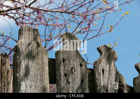 Clôture rustique et gate. Banque D'Images