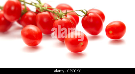 Tomates italiennes sur la vigne sur la surface blanche, isolée Banque D'Images