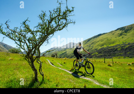 Du vélo de montagne sur sentier entre Moke Lake et Lake Différend, près de Queenstown, Nouvelle-Zélande Banque D'Images