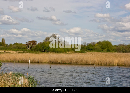 L'observation des oiseaux se cachent au milieu de paysages protégés Attenborough Nature Reserve Nottingham East Midlands Angleterre Lincolnshire Banque D'Images