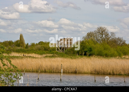 L'observation des oiseaux se cachent au milieu de paysages protégés Attenborough Nature Reserve Nottingham East Midlands Angleterre Lincolnshire Banque D'Images