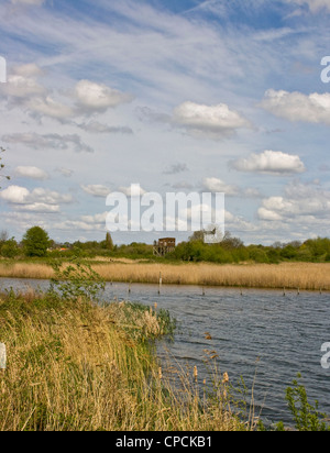 L'observation des oiseaux se cachent au milieu de paysages protégés Attenborough Nature Reserve Nottingham East Midlands Angleterre Lincolnshire Banque D'Images