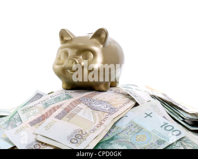 Golden piggybank mis sur pile de billets de Zloty polonais sur fond blanc Banque D'Images