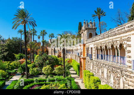 Espagne, Andalousie, Séville, Barrio Santa Cruz, de l'Alcazar Palace Banque D'Images