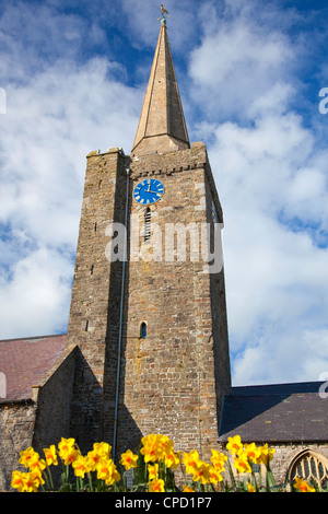 Eglise St Mary, Tenby, Pembrokeshire, Pays de Galles, Royaume-Uni, Europe Banque D'Images