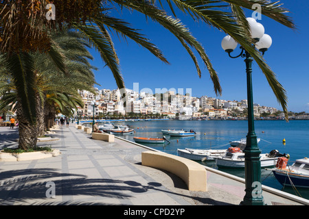 Le port, Sitia, λασίθι, Crète, îles grecques, Grèce, Europe Banque D'Images