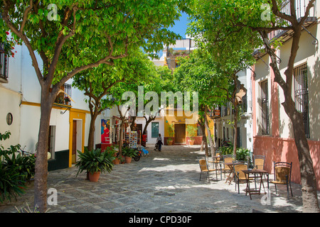 L'Europe, l'Espagne l'Andalousie, Séville, Plaza de Santa Cruz Banque D'Images