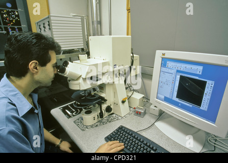 D'exploitation d'étudiants Zeiss LSM510 Microscope confocal à balayage laser. Banque D'Images