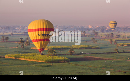 Ballons à air chaud l'atterrissage dans les champs par la nécropole thébaine Louxor, Thèbes, Egypte, Afrique du Nord, Afrique Banque D'Images