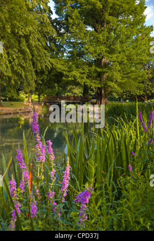 Jardin des Prebendes d'OE, Tours, Indre et Loire, Centre, France, Europe Banque D'Images