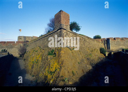 Mur de fortification de l'ancien château royal, Collioure, Pyrénées-Orientales, Languedoc-Roussillon France Banque D'Images