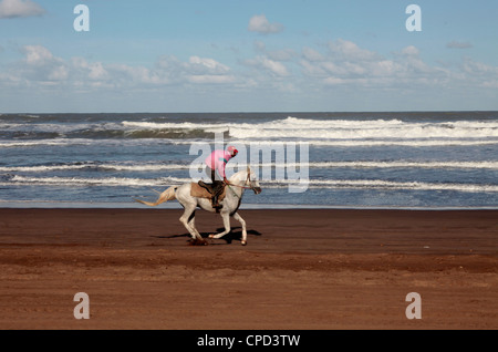 Horse Rider sur une plage près d'Azemmour, Maroc, Afrique du Nord, Afrique Banque D'Images