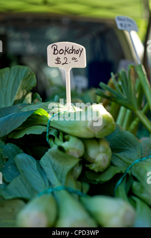 Un signe pour le bok choy à un marché de producteurs Banque D'Images