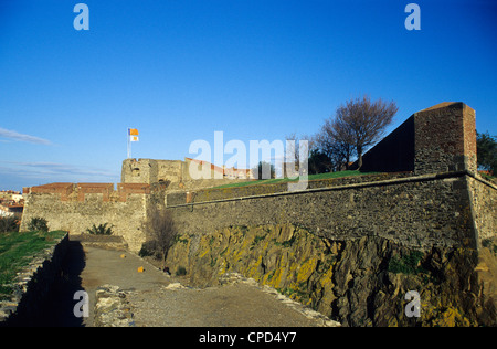 Mur de fortification de l'ancien château royal, Collioure, Pyrénées-Orientales, Languedoc-Roussillon France Banque D'Images