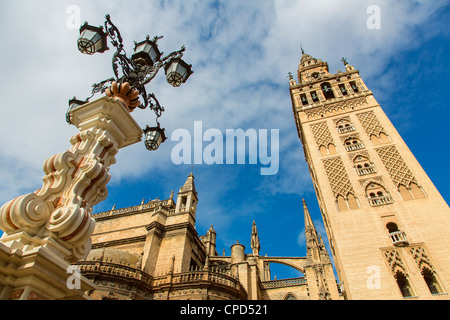 L'Europe, l'Espagne l'Andalousie, Séville, Plaza Virgen de los Reyes Banque D'Images