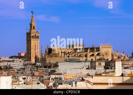 L'Europe, Espagne, Andalousie, Séville, La Giralda, La Cathédrale de Séville Banque D'Images