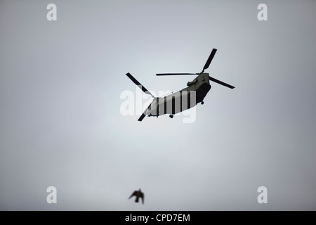 Un hélicoptère militaire volant dans le ciel comme un oiseau vole par Banque D'Images
