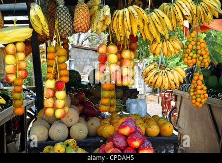 Brésil La vente du vendeur étal de fruits tropicaux Banque D'Images