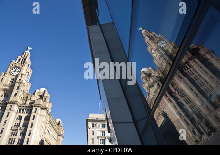 Le Royal Liver Building et Cunard building reflète dans la façade de la Mersey Ferries Voyage Liverpool Pier Head Banque D'Images