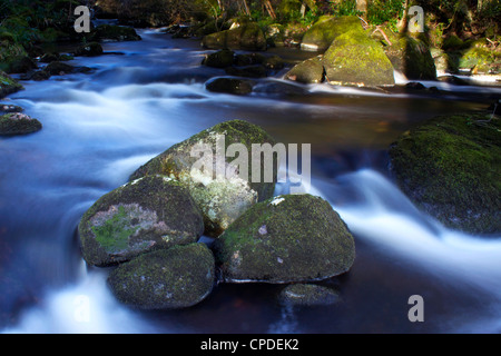 River Teign, Dartmoor National Park, Devon, Angleterre, Royaume-Uni, Europe Banque D'Images