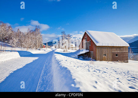 Grange Road, couverts de neige et des chalets dans le village norvégien de Laukslett, Troms, Norvège du Nord, en Scandinavie, en Europe Banque D'Images