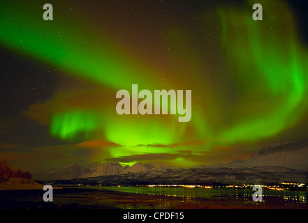 Aurore boréale vu au Alpes de Lyngen, de Sjursnes, Ullsfjord, Troms, Norvège du Nord, en Scandinavie, en Europe Banque D'Images