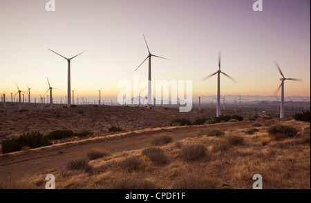 Éoliennes juste à l'extérieur de Mojave, Californie, États-Unis d'Amérique, Amérique du Nord Banque D'Images