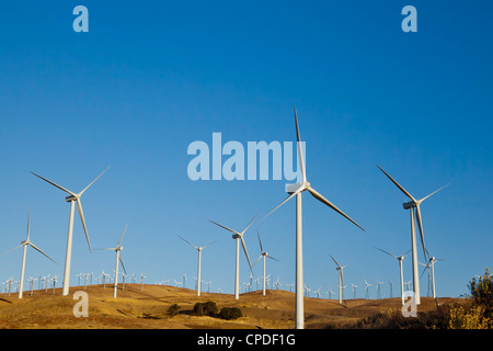 Éoliennes juste à l'extérieur de Mojave, Californie, États-Unis d'Amérique, Amérique du Nord Banque D'Images