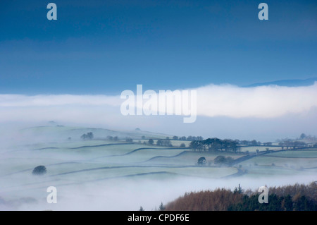 Brouillard d'hiver, Eden Valley, Lower Pennines, Cumbria, Angleterre, Royaume-Uni, Europe Banque D'Images