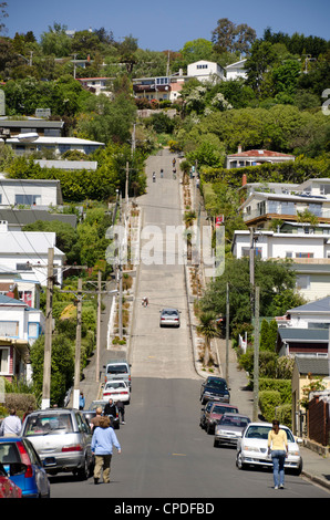 Le plus raide du monde, rue Baldwin Street, Dunedin, Otago, île du Sud, Nouvelle-Zélande, Pacifique Banque D'Images