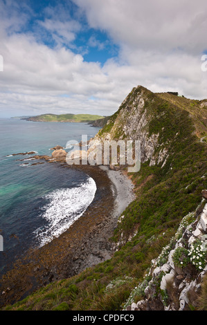 Nugget Point, Otago, île du Sud, Nouvelle-Zélande, Pacifique Banque D'Images
