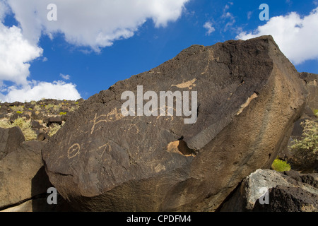 Petroglyph National Monument (Boca Negra Canyon), Albuquerque, Nouveau Mexique, États-Unis d'Amérique, Amérique du Nord Banque D'Images