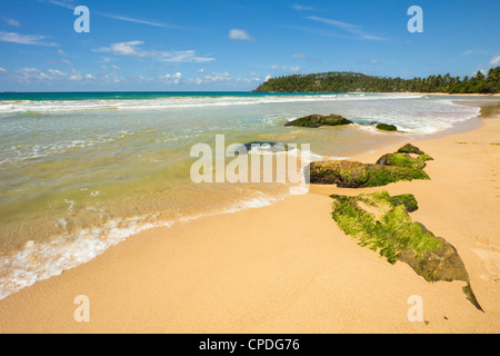 Les rochers et l'ouest de la côte sud de la plage de surf de l'observation des baleines à Mirissa, près de Matara, Province du Sud, Sri Lanka, Asie Banque D'Images